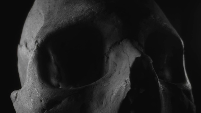 Video Reference: Flash photography, Jaw, Wood, Tints and shades, Eyelash, Snout, Monochrome photography, Font, Darkness, Rock
