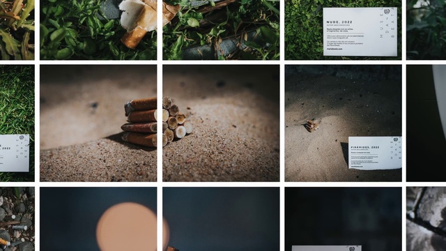 Video Reference: Photograph, Light, Green, Organism, Terrestrial plant, Font, Line, Adaptation, Plant, Beauty