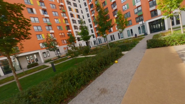 Video Reference: Plant, Window, Building, Tree, Urban design, Grass, Road surface, Condominium, Landscape, City