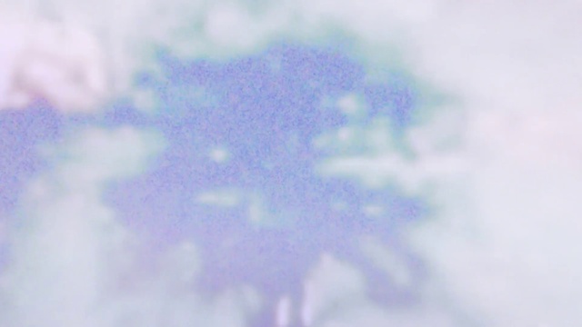 Video Reference: Cloud, Sky, Petal, Cumulus, Electric blue, Twig, Natural landscape, Tree, Meteorological phenomenon, Macro photography