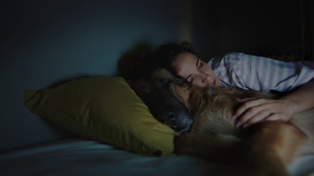 Video Reference: Dog, Comfort, Dog breed, Carnivore, Jaw, Flash photography, Gesture, Grey, Fawn, Companion dog