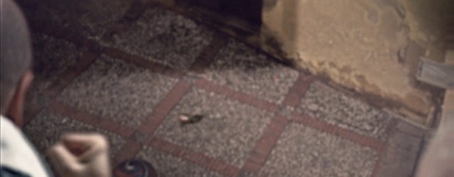 Video Reference: Brown, Road surface, Wood, Grey, Asphalt, Floor, Flooring, Brickwork, Brick, Sidewalk