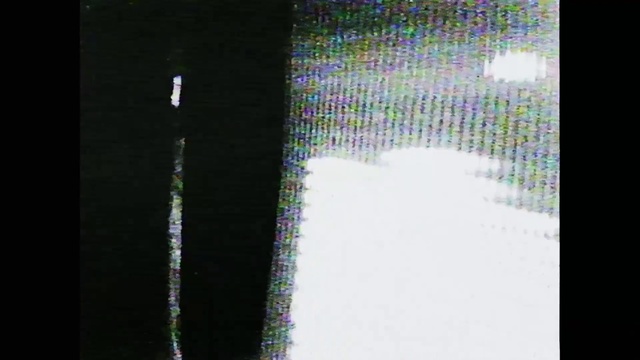 Video Reference: Rectangle, Font, Tints and shades, Terrestrial plant, Pattern, Event, Glass, Electric blue, Circle, Magenta