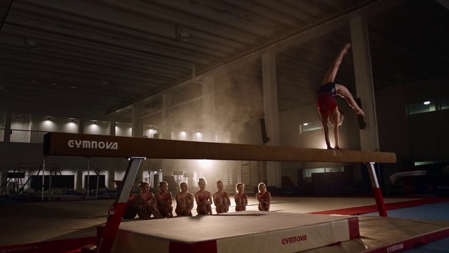 Video Reference: Performing arts, Art, Event, Balance, Entertainment, Ceiling, Choreography, Physical fitness, Visual arts, Competition
