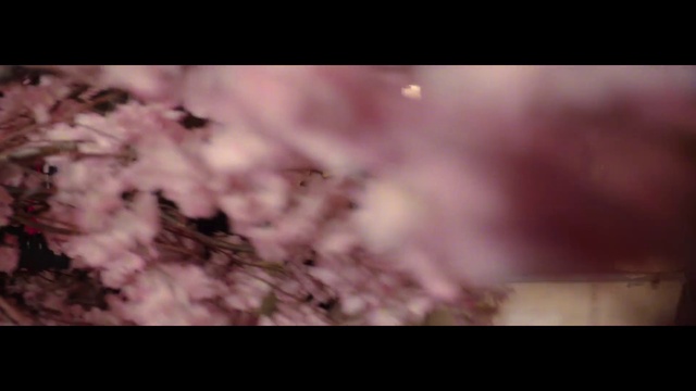 Video Reference: Cloud, Plant, Twig, Natural landscape, Tints and shades, Grass, Magenta, Landscape, Macro photography, Meteorological phenomenon