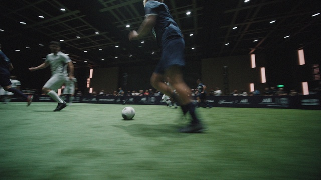 Video Reference: Shorts, Sports equipment, Football, Field house, Ball, Plant, Indoor soccer, Player, Soccer, Competition event