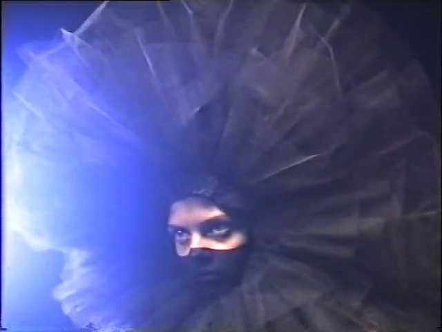 Video Reference: Water, Purple, Flash photography, Violet, Eyelash, Petal, Sky, Electric blue, Tree, Event