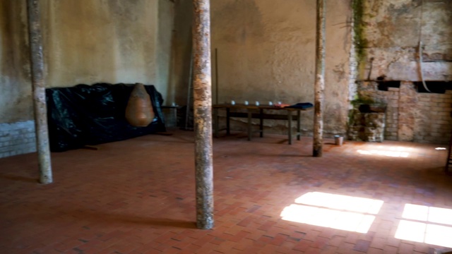 Video Reference: Wood, Floor, Flooring, Hardwood, Tints and shades, Shade, Plant, Building, Building material, Room