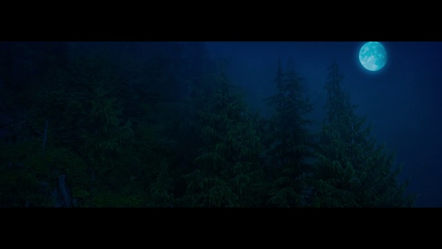 Video Reference: Atmosphere, Moon, Sky, Plant, Natural landscape, Atmospheric phenomenon, Automotive lighting, Astronomical object, Terrestrial plant, Tints and shades