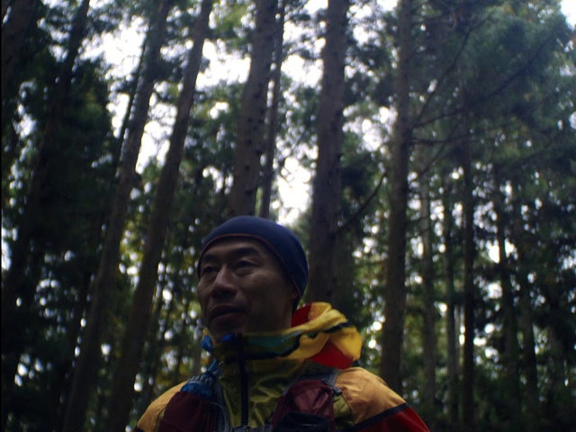 Video Reference: Glasses, Tree, People in nature, Terrestrial plant, Wood, Trunk, Forest, Woodland, Electric blue, Temperate broadleaf and mixed forest