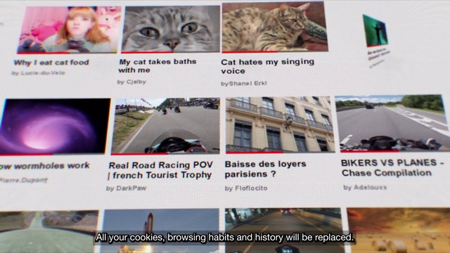 Video Reference: Photograph, Cat, Font, Carnivore, Adaptation, Travel, Building, Felidae, Snapshot, Screenshot