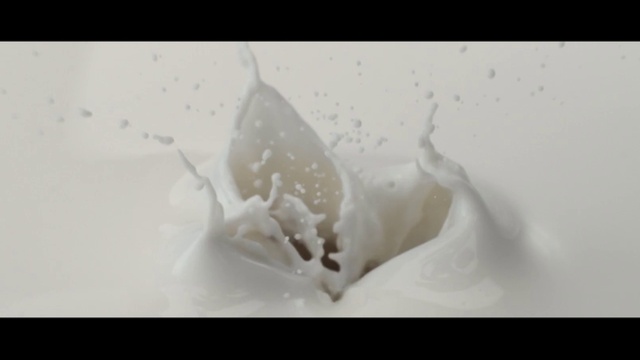 Video Reference: Plant, Petal, Flower, Terrestrial plant, Twig, Art, Flowering plant, Monochrome photography, Snow, Macro photography