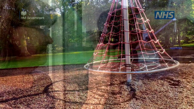 Video Reference: Christmas tree, Tree, Wood, Plant, Woody plant, Leisure, Shade, Tints and shades, Evergreen, Glass