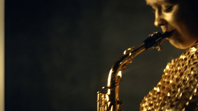 Video Reference: Reed, Musical instrument, Reed instrument, Saxophonist, Musician, Music, Microphone, Music artist, Wind instrument, Saxophone