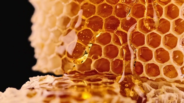 Video Reference: Beehive, Honeycomb, Pollinator, Natural material, Amber, Organism, Yellow, Arthropod, Insect, Pattern