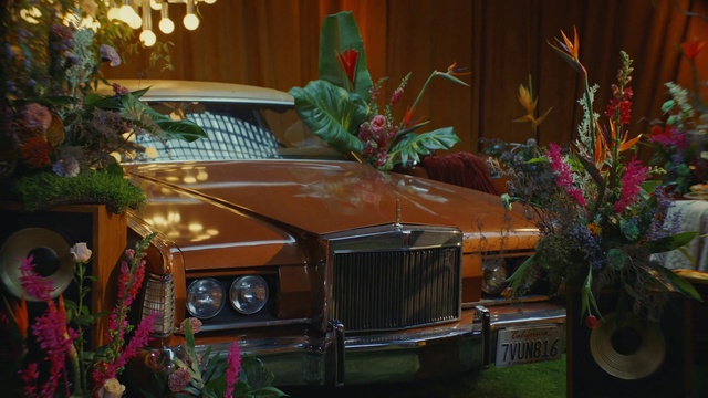 Video Reference: Car, Plant, Grille, Vehicle, Vehicle registration plate, Automotive lighting, Hood, Motor vehicle, Tire, Automotive design