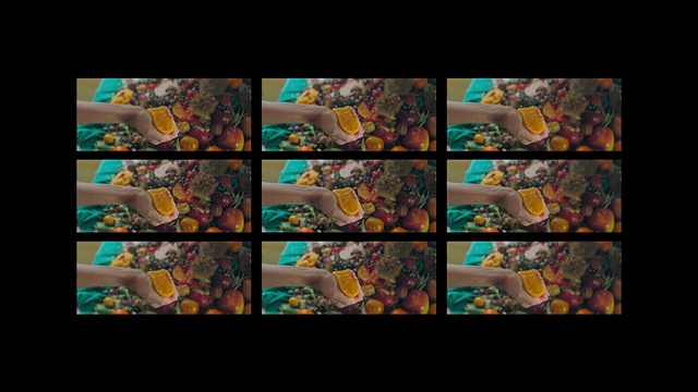 Video Reference: Rectangle, Branch, Textile, World, Organism, Art, Vegetation, Woody plant, Painting, Font