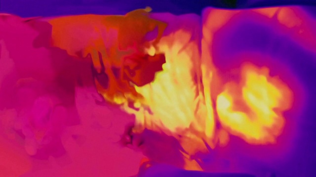 Video Reference: Flower, Petal, Orange, Purple, Organism, Plant, Pink, Heat, Magenta, Gas