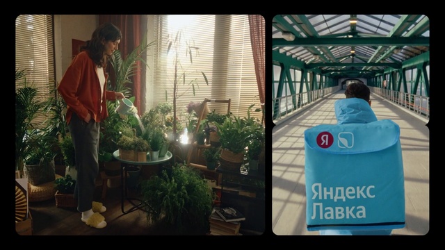 Video Reference: Plant, Flowerpot, Houseplant, Terrestrial plant, Table, Chair, Event, Grass, Room, Font
