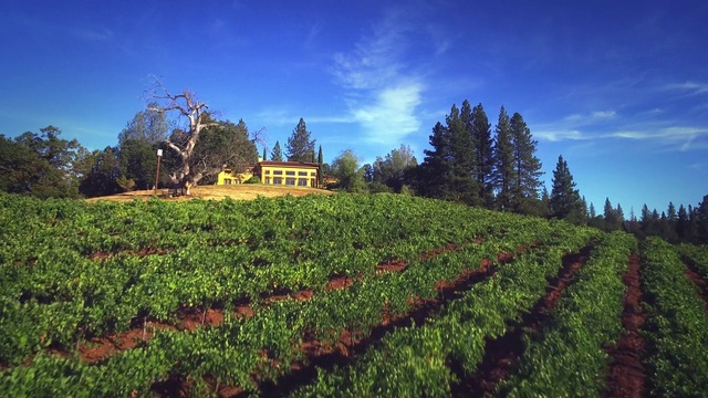Video Reference: Sky, Cloud, Plant, Tree, Natural landscape, Land lot, Highland, Slope, Grassland, Grass