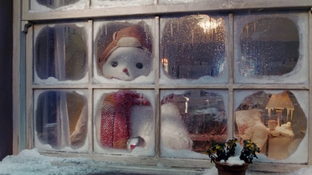 Video Reference: Plant, Window, Vertebrate, Flowerpot, Houseplant, Textile, Mammal, Display case, Art, Glass