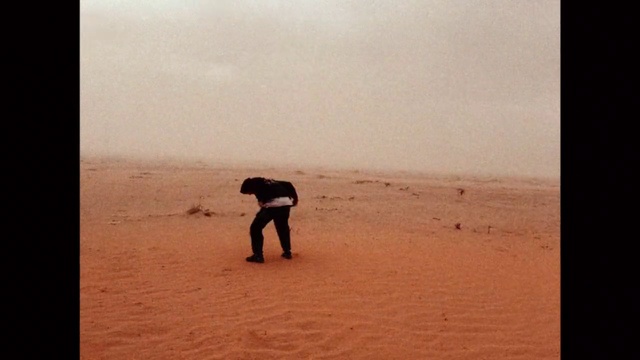 Video Reference: Sky, Ecoregion, Cloud, People in nature, Landscape, Plain, Tints and shades, Horizon, Aeolian landform, Happy