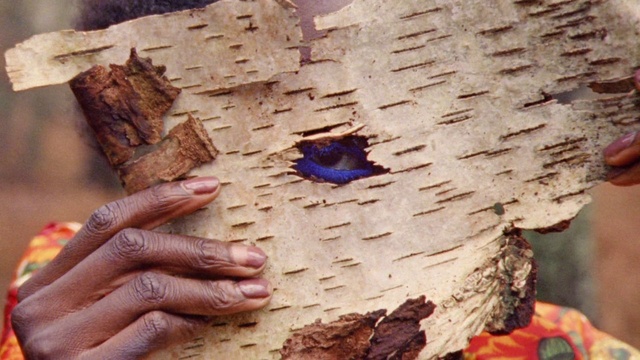 Video Reference: Hand, Plant, Eye, Nature, Leaf, Wood, Human body, Tree, Gesture, Trunk