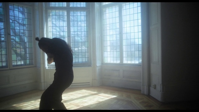 Video Reference: Window, Gesture, Interior design, Tints and shades, Shade, Wood, House, Flooring, Tail, Door