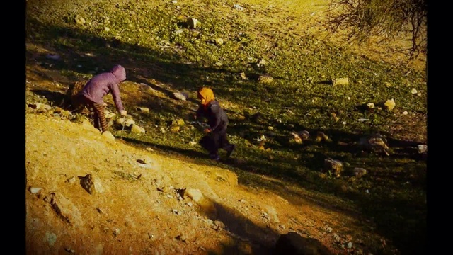 Video Reference: People in nature, Plant, Wood, Slope, Grass, Landscape, Forest, Recreation, Climbing, Grassland