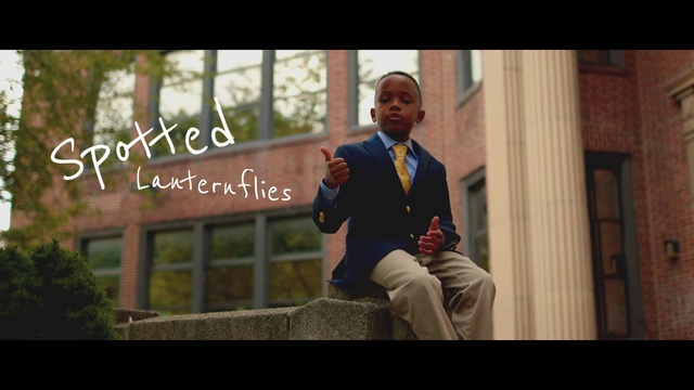 Video Reference: Tie, Flash photography, Happy, Street fashion, Formal wear, Leisure, White-collar worker, Tree, Travel, Font