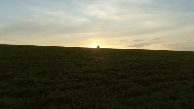 Video Reference: Sky, Cloud, Natural landscape, Plant, Dusk, Tree, Meadow, Sunrise, Grassland, Horizon