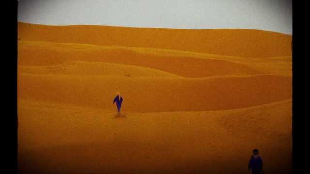 Video Reference: Sky, Ecoregion, Cloud, Natural environment, Plant, Natural landscape, Biome, Erg, Tree, Terrain