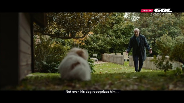 Video Reference: Plant, Tree, Flash photography, People in nature, Gesture, Grass, Happy, Natural landscape, Companion dog, Suit