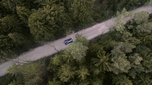 Video Reference: Plant community, Vehicle, Plant, Tree, Vegetation, Car, Tire, Biome, Grass, Landscape