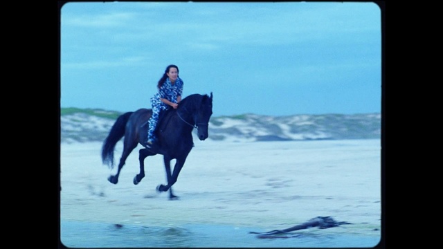 Video Reference: Horse, Sky, Photograph, Working animal, Cloud, Horse supplies, Horse tack, Bridle, Recreation, Mane