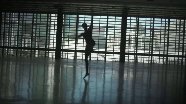 Video Reference: Art, Wood, Floor, Flooring, Tints and shades, Glass, Building, Symmetry, Window, Darkness