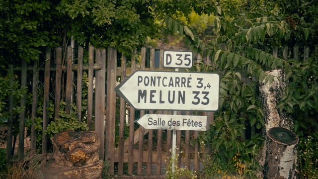 Video Reference: Plant, Plant community, Leaf, Motor vehicle, Natural landscape, Vegetation, Grass, Wood, Fence, Font