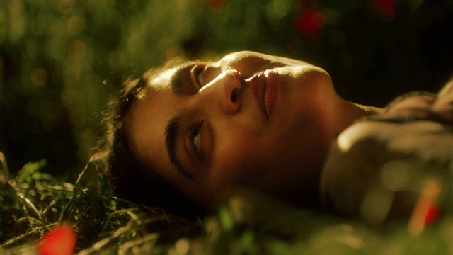 Video Reference: Face, Plant, People in nature, Flash photography, Eyelash, Happy, Fawn, Black hair, Grass, Grassland