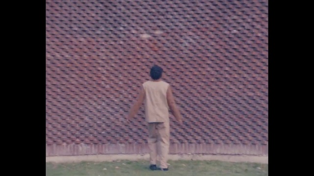 Video Reference: World, Rectangle, Sleeve, Textile, Standing, Art, Grass, Composite material, Tints and shades, Font