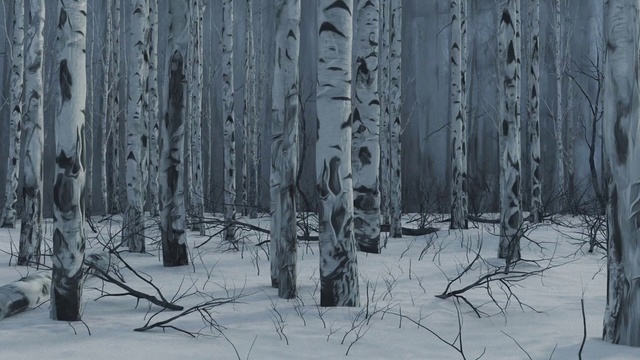 Video Reference: Plant, Snow, Natural environment, Wood, Natural landscape, Trunk, Branch, Twig, Atmospheric phenomenon, Vegetation