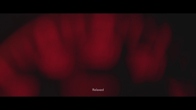 Video Reference: Automotive lighting, Plant, Human body, Petal, Tree, Heat, Font, Magenta, Wood, Fruit