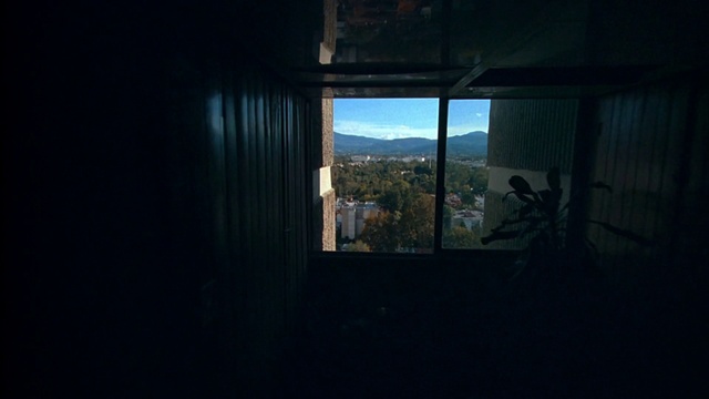 Video Reference: Sky, Building, Window, Wood, Plant, Tints and shades, Glass, Shade, Darkness, Flooring