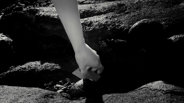 Video Reference: Hand, Plant, Leg, People in nature, Flash photography, Knee, Black-and-white, Gesture, Thigh, Style