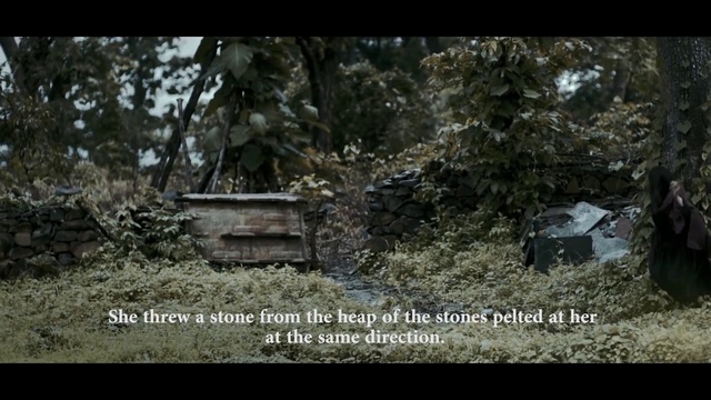 Video Reference: Plant, World, Natural landscape, Terrestrial plant, Grass, Font, Tree, Landscape, Wood, Trunk