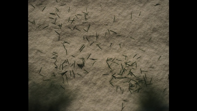 Video Reference: Wood, Rectangle, Font, Twig, Art, Tints and shades, Grass, Handwriting, Pattern, Plant