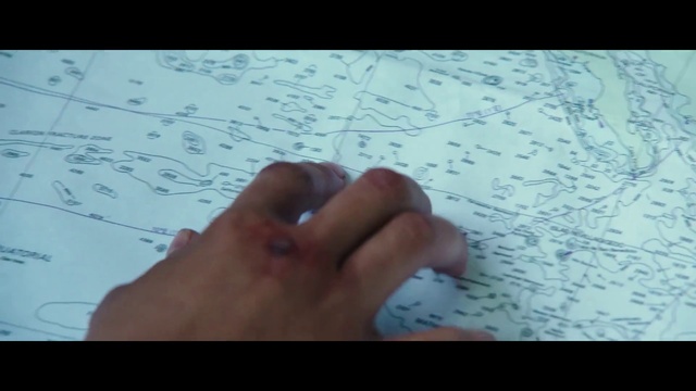 Video Reference: Hand, Handwriting, Vertebrate, Azure, Leaf, Organism, Textile, Finger, Gesture, Font