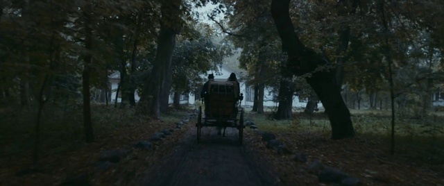 Video Reference: Plant, Tree, Working animal, Road surface, Motor vehicle, Asphalt, Grass, Landscape, Road, Vehicle