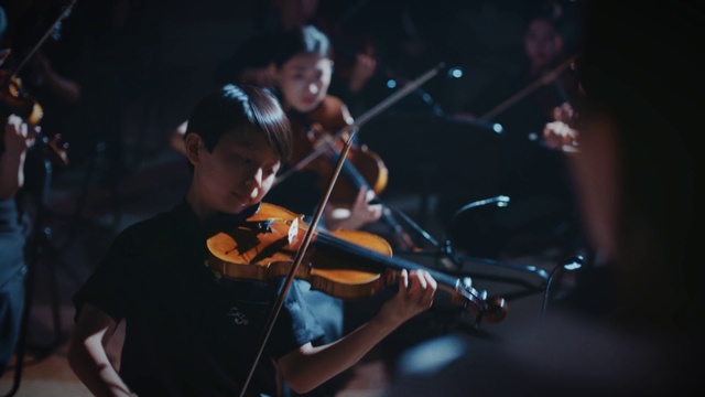 Video Reference: Violin, Musical instrument, Violin family, Fiddle, Violist, String instrument, Microphone, Musical instrument accessory, Classical music, String instrument