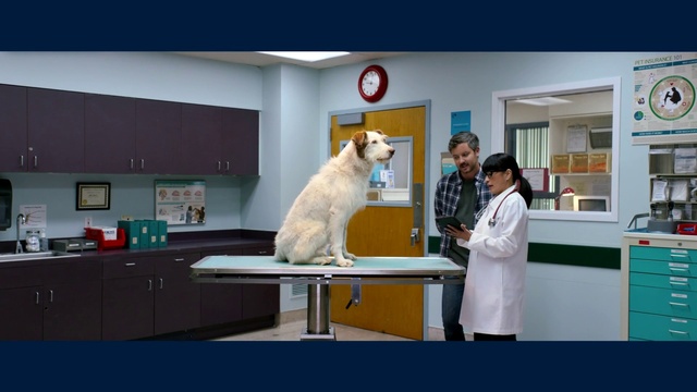 Video Reference: Dress, Clock, Carnivore, Cat, Felidae, Shelf, Table, Small to medium-sized cats, Event, Picture frame