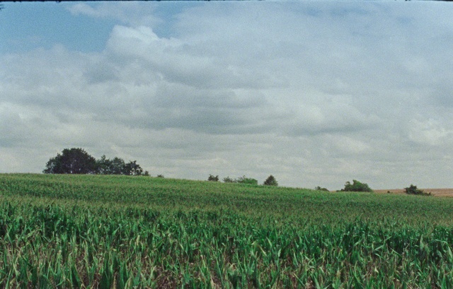 Video Reference: Cloud, Sky, Plant, Ecoregion, Natural landscape, Land lot, Tree, Agriculture, Grass, Plain